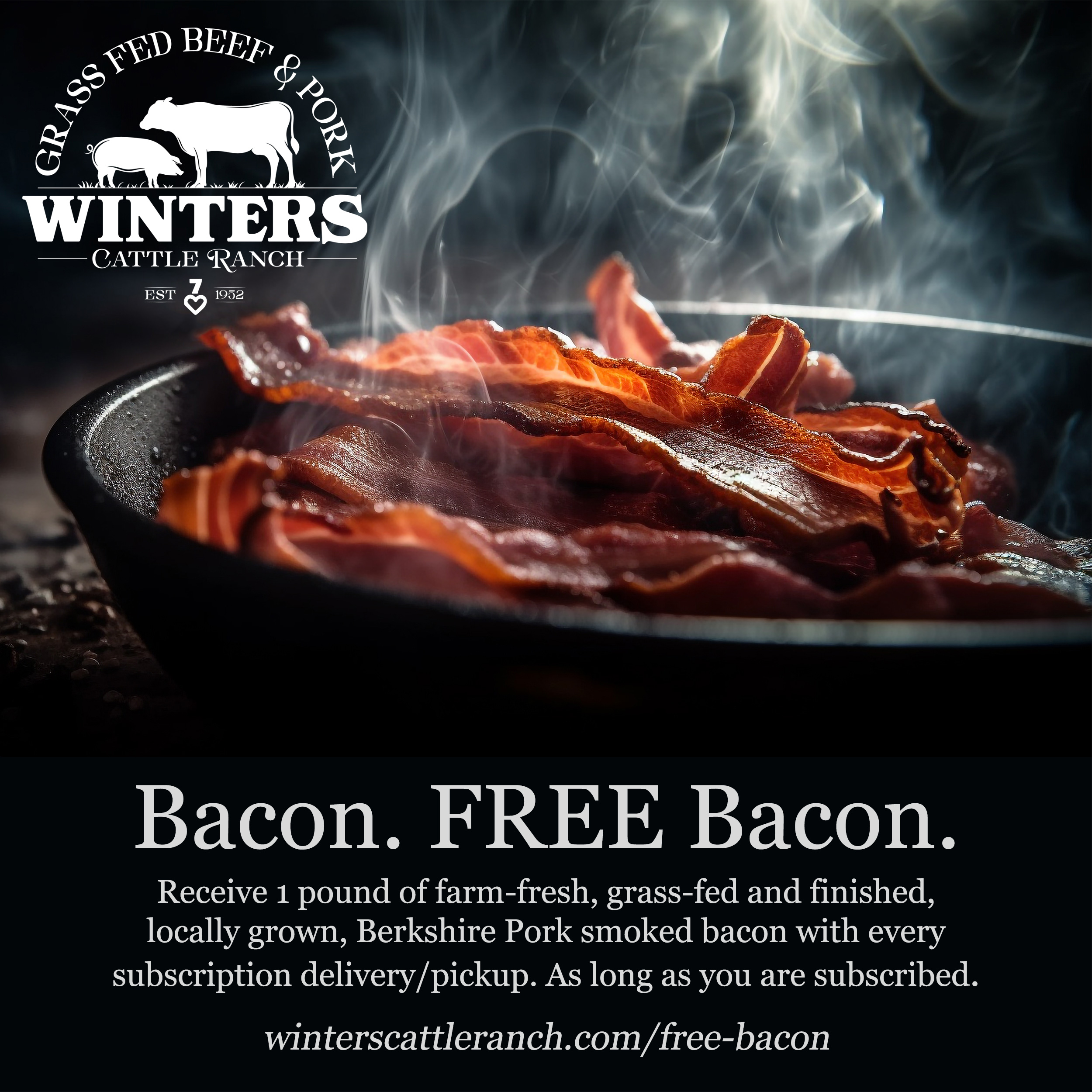 marketing promotion for Winters Cattle Ranch