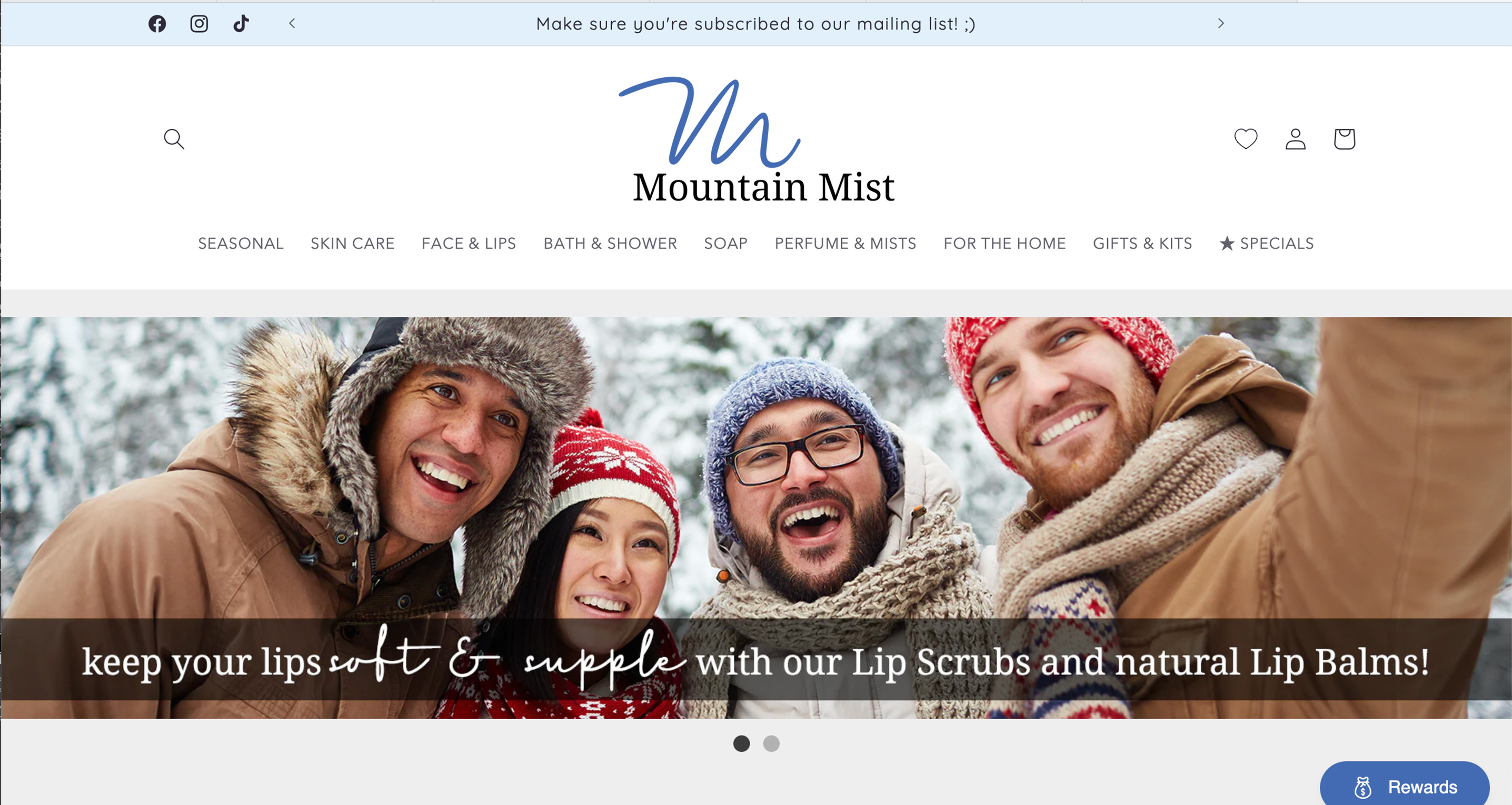 customized shopify website for mtnmist.com